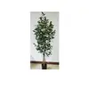 /product-detail/artificial-ornamental-plants-realistic-luxury-bonsai-tree-indoor-plastic-large-laurel-trees-for-living-room-180cm-decor-potted-t-62243194056.html