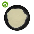 In Stock 80% Protein Chocolate Whey Protein Isolate