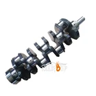 Cast or Forged Cranks for Isuzu 4JJ1 Crankshaft