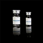 Glass Medicine Vial Glassglassglass Small Empty Clear Glass Injection Medicine Vaccine Bottle Vial