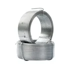 Aisi Steel Wire Wires Hot Dipped Galvanized Oval Steel Wire High Tensile Steel Oval Wires
