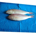 Meat Non-woven Disposable Absorbent Soaker Pad Paper Meat For Packaging Tray Oil
