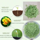 ferrous sulphate heptahydrate FeSO4.7H2O