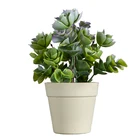 Succulents Plants Plant Artificial Plants 23CM New Arrival Garden Artificial Succulents Plants Houseleek Plant