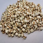 Seed Cheap Chinese Supplier Jiedu Scattered Natural Coix Seed