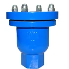 DN25 Ductile Iron Single Air Release Valve Thread Type Small Air Venting