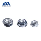Provide Nuts Nuts China Supplier Provide Zinc Plated Hex Flange Wing Nuts With Best Price