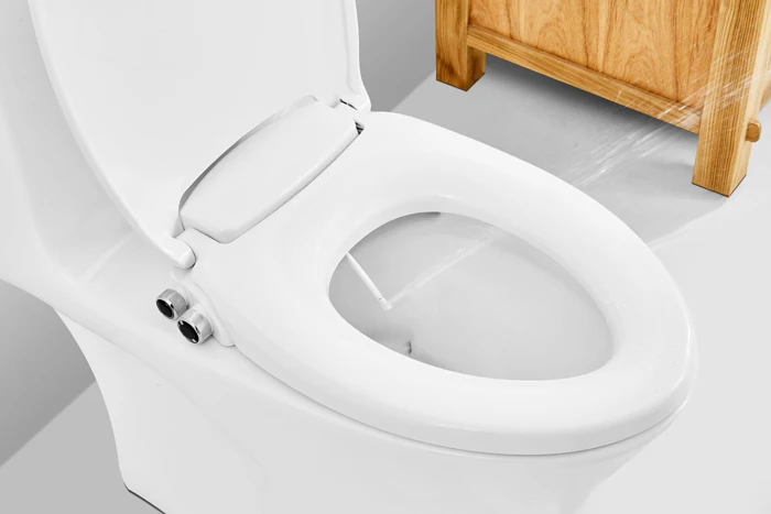 Bidet Toilet Seat.jpg