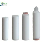 0.01 /0.02 Micron PTFE Pleated Membrane Filter Cartridge