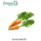 Seed Farwell Carrot Seed Oil Cas 8015-88-1