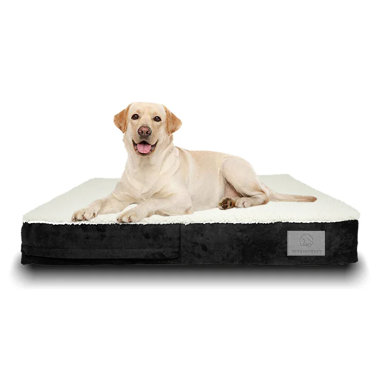 solid memory foam dog bed