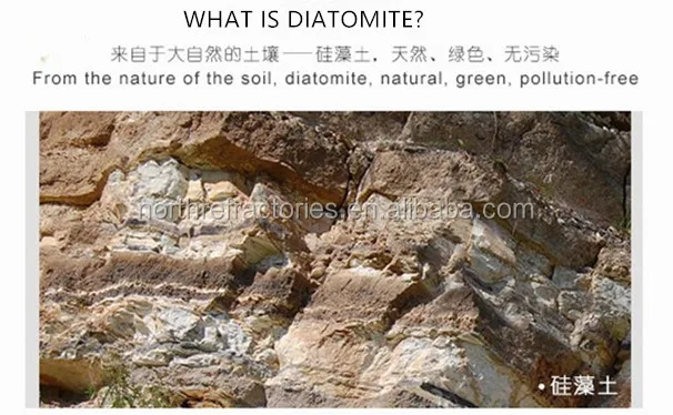 WHAT IS DIATOMITE.jpg