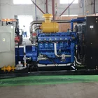Generation 500KW Biomass Gasification Power Generation Adopt Gas Power Generation System