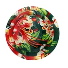 Borosilicate glass plate eco-friendly dishes