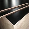 /product-detail/4-8-cheap-film-faced-plywood-12-15-18-25mm-contre-plaque-shuttering-plywood-62303688738.html