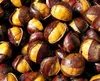 Healthy Snacks Instant Food Roasted Chinese Chestnut for wholesale