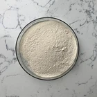 Food Grade Enzyme Product Amylase