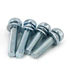 Cold Hex Cold Galvanized Carbon Steel Assembled Hex Bolt With Washer And Nut