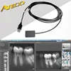 Authentic UK Ateco Digital Dental X Ray Sensor Price