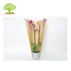hotsales paper for wrapping flower supermarket available