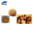 oem odm blended mushroom extract lions mane cordyceps chaga lucidum ganoderma powder product