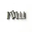 China Supplier fastener half hollow flat head blind steel rivets