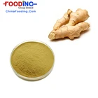 Food Grade black ginger extract manufacturer