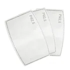 5 Layer Pm 2.5 Anti Dust and Bacteria Activated Carbon air Filter 2.5 pm filter