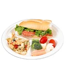 disposable bagasse 9 inch 3 compartment biodegradable Sugarcane paper Plates