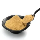 100% Natural ginger extract powder spices