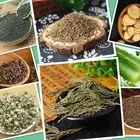 Hair Polygonum Multiflorum Moisturizer Natural Black Hair Care Products Wholesale