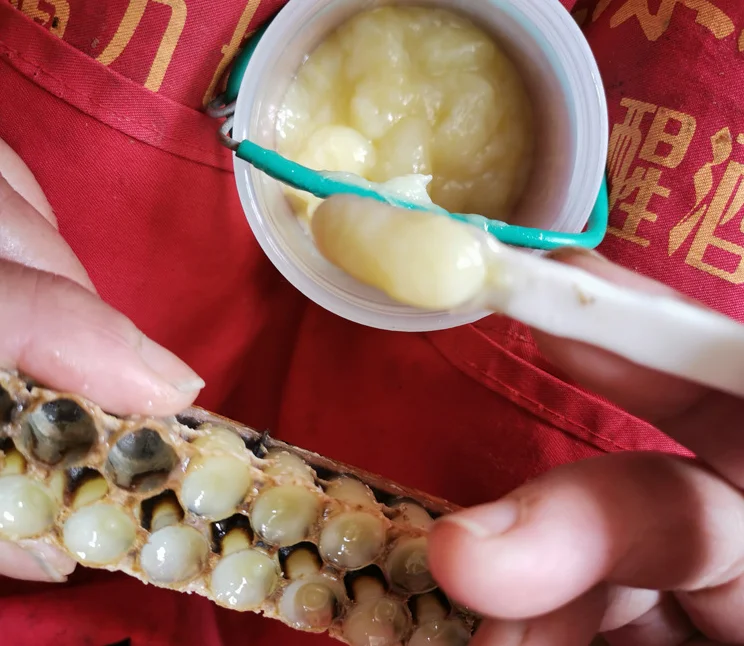 USDA pure organic fresh royal jelly good health gelle royal jelly for sale