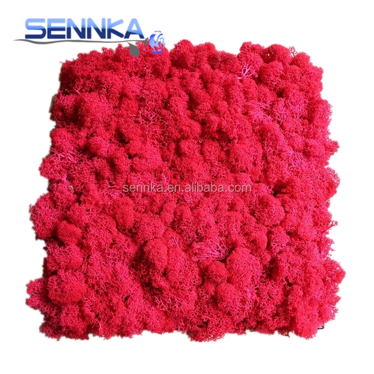 reindeer garden real stabilized moss wall diy natural preserved