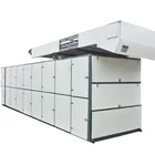 Automatic Fruit Processing Machine Dried Lemon Continuous Mesh Belt Dryer