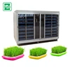 Automatic Bean Sprout Maker Fodder Sprouting Machine Barley Sprouting Machine