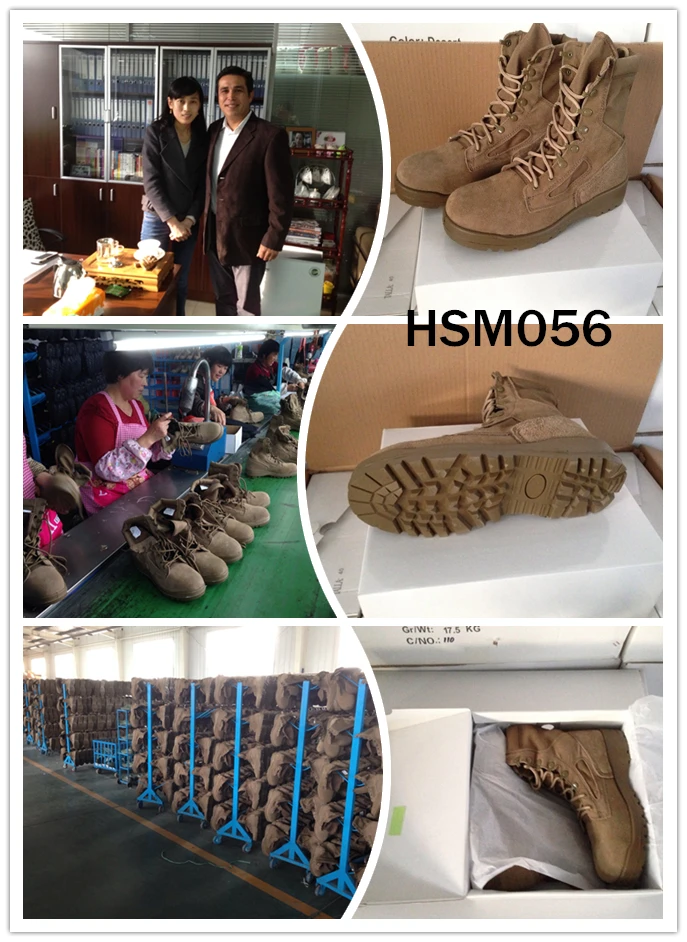 2015 HSM056