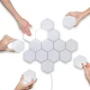 /product-detail/diy-quantum-lamps-hexagonal-wall-lamp-creative-geometry-assembly-led-night-light-smart-dimmable-touch-sensitive-lighting-62252006874.html