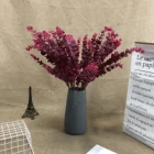 Decorative Plastic PU Simulated Eucalyptus Leaves Red Color For Wedding 3 Braches