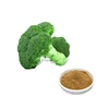 HONGDA Supply Broccoli Extract Broccoli Broccoli Powder