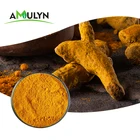 Vacuum Packed Powder Color Water Turmeric Curcumin AMULYN Turmeric Powder Natural Color Water Soluble Curcumin