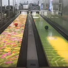 Is_customized Bowling Interactive System Projection