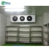 frozen fish cake frozen lion fish cold storage for sale cold storage holland foster cold rooms