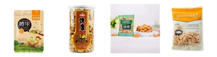 raw cashew nut processing machine application