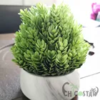 Flower Pot Plant For Indoor Plant Pot Simulation Green Cement Flower Pot Plant For Indoor Decoration