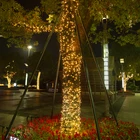 Lighting decoration with LED Christmas lights led string light WL-LD-019