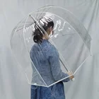 Birdcage Transparent Umbrellas Birdcage Umbrella Wooden Handle Transparent Straight Umbrella With Customized