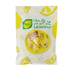 Tea Bottle Healthy Fruit Tea Jar Bottle Drink Instant Honey Lemon Tea Tea Ready Mix Product