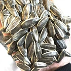 Sale Organic Black Sunflower Seeds For Planting