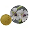 Marshmallow Root P.E, Marshmallow Root Extract 10:1 Powder