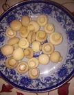Canned Canned 800g New Crop Canned Mushroom Whole